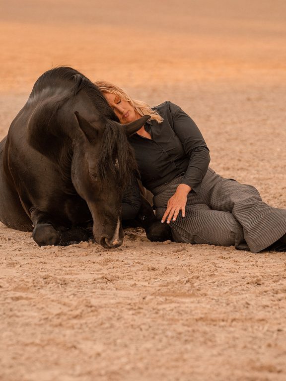 Tierfotografie, Pferdefotografie, Lippizaner, Pferd, Ablegen, Verbindung Pferd Mensch