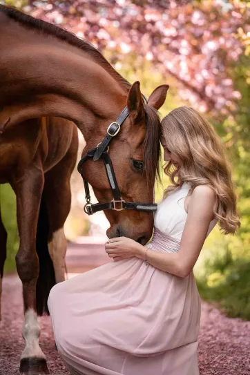 Pferd zwischen rosa Kirschblüten bei einem Frühlings Fotoshooting